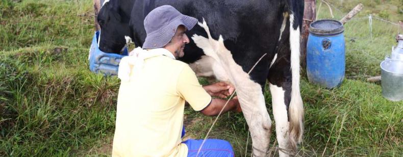 El queso Asproquema “solución” para los ganaderos de Anorí