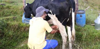 El queso Asproquema “solución” para los ganaderos de Anorí