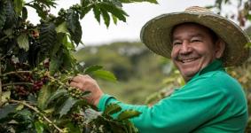 cafetero